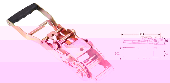 5004