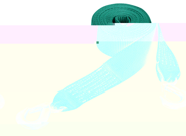 TS5006