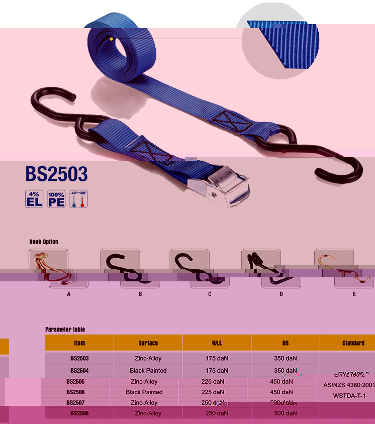 BS2503