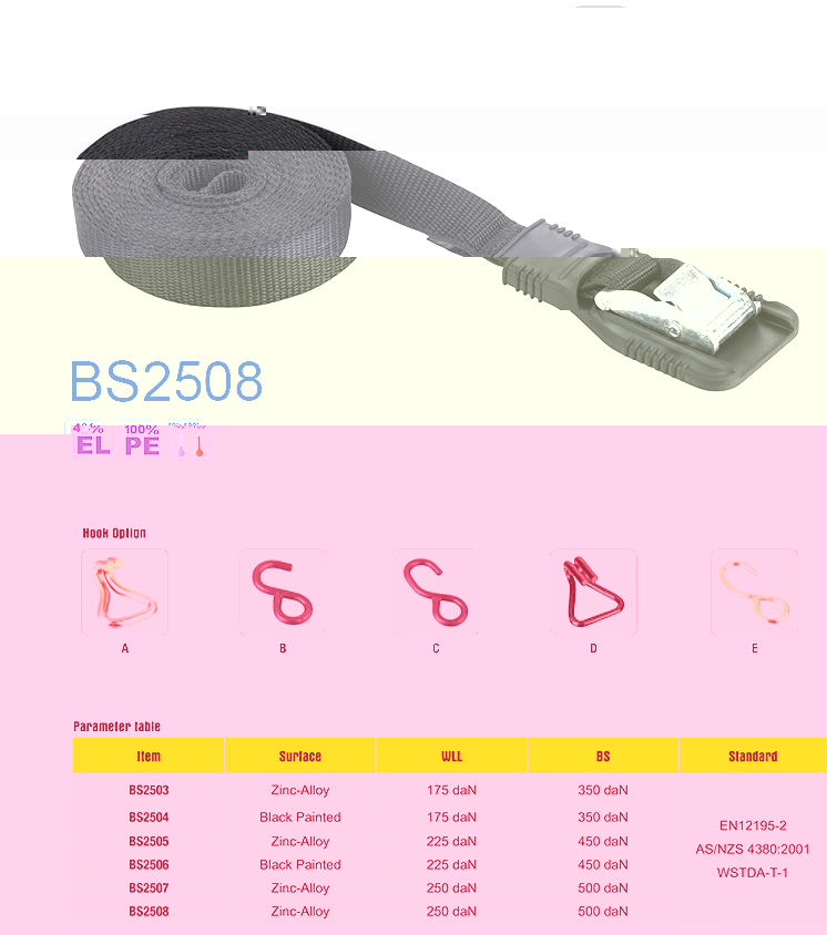 BS2508