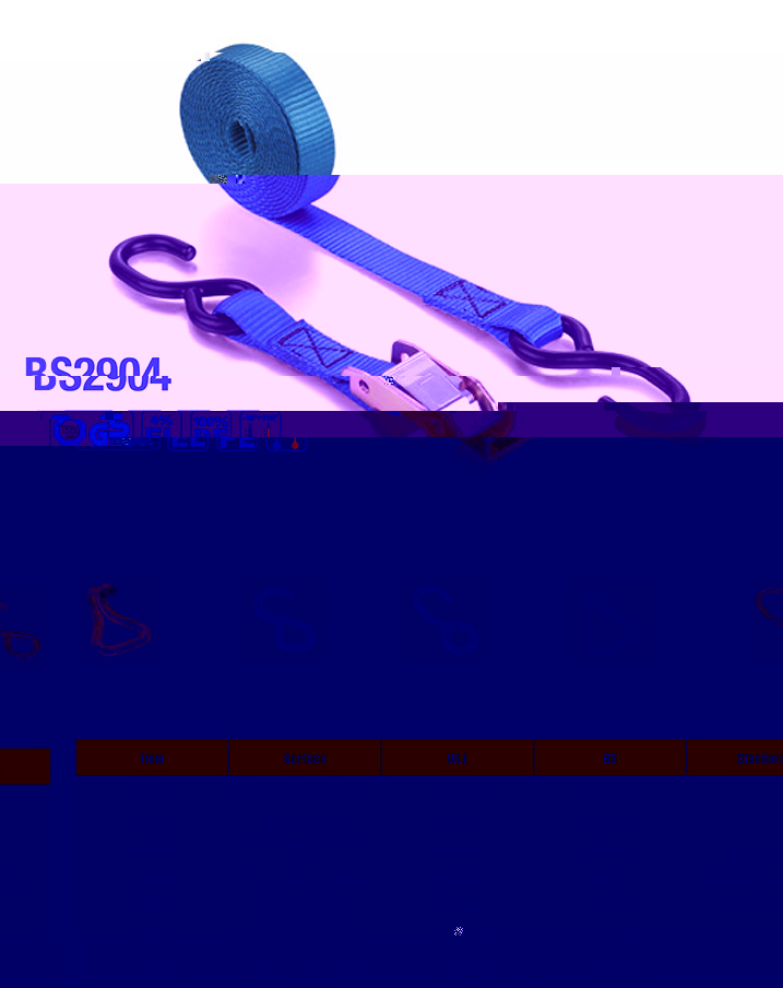 BS2904