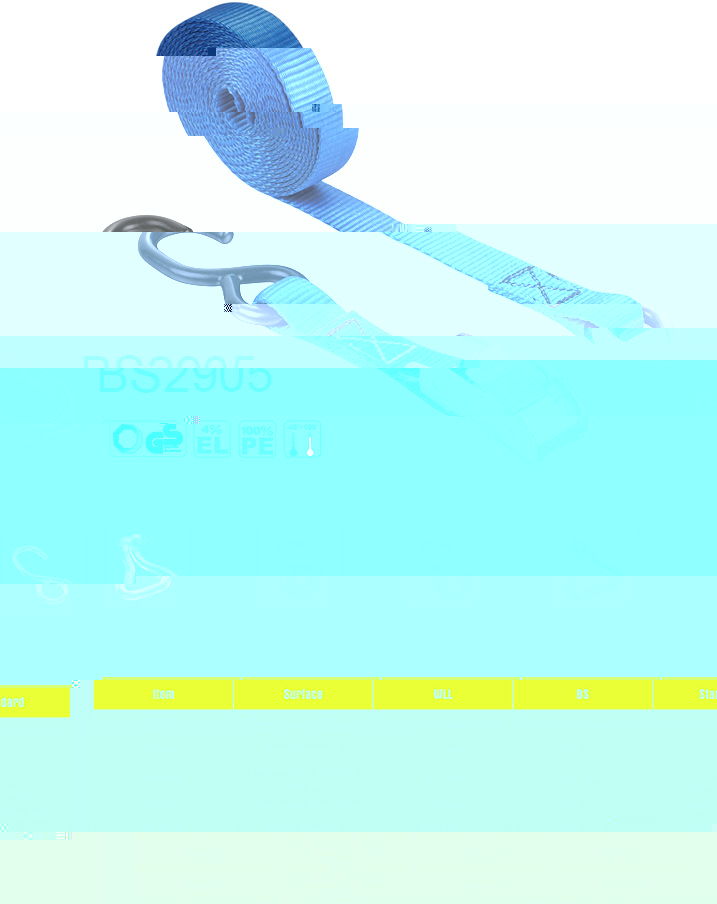 BS2905